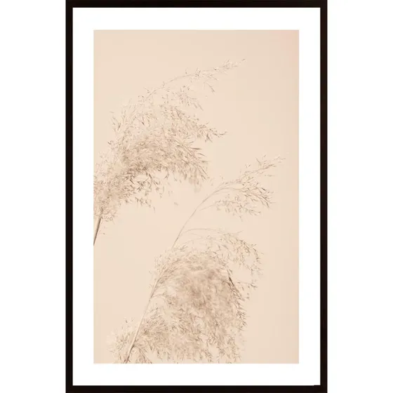 Reed Grass Beige 06 Poster
