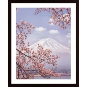 Mt.Fuji In The Cherry Blossoms Poster