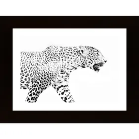 Leopard In Profile Poster