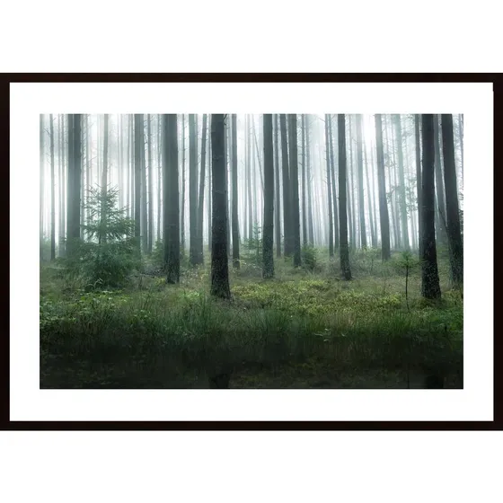 Lake In Forest Poster