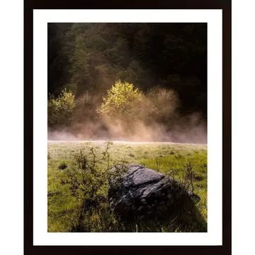 Morning Start Poster: En mystisk morgonstund i dimmig skog