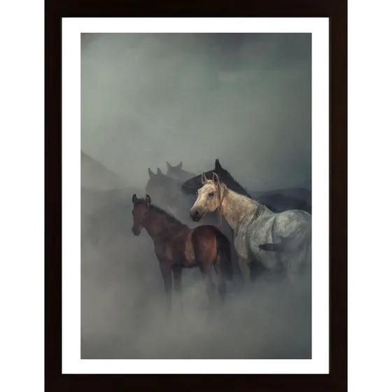 The Lost Horses Poster