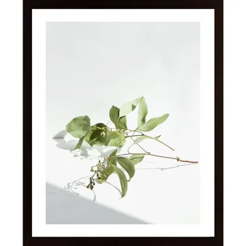 Green Plant 2 Poster - En ikonisk bild till hemmet