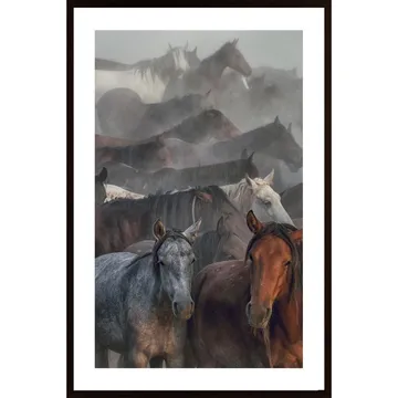 Two Horses Poster: Fånga Den Vilda Skönheten