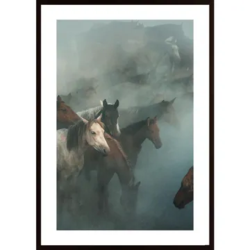 Lost Horses Poster: Ett Verkligt Fotokonstverk