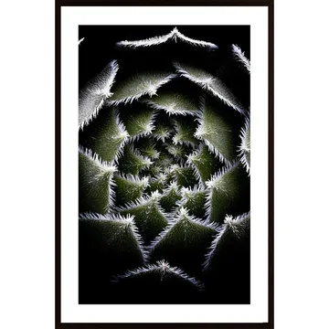 Sempervivum Rosette Poster: Ett Unikt Konstverk