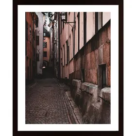 A Narrow Pathway Poster