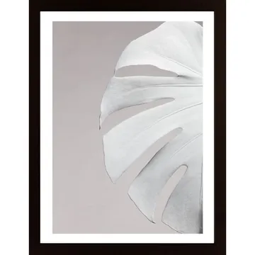 Monstera White 05 Poster | Förgyll Hemmet Med Botanisk Konst