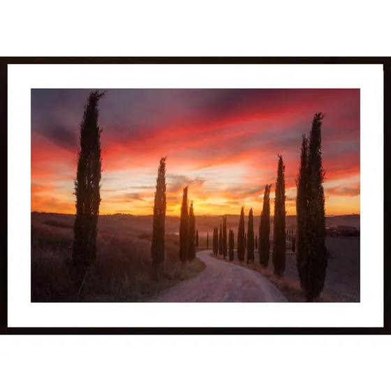 Tuscany Sunset Poster
