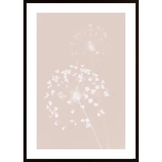 Dried Flower Pink Poster