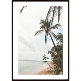 Palm Tree On Beach Poster