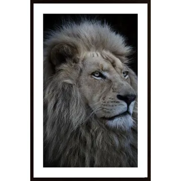 Proud Lion Poster: En mäktig symbol av styrka och mod | Jiroy