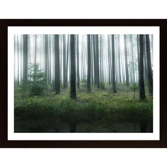 Lake In Forest Poster