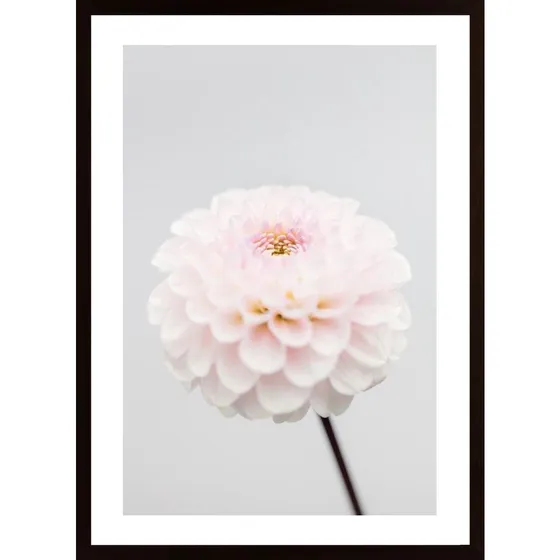 Pink Flower No3 Poster
