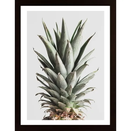 Pineapple Natural 02 Poster