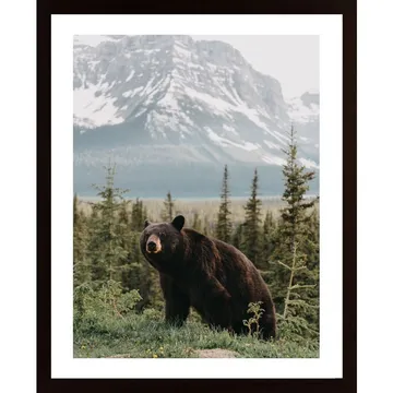 Bear In Forest Poster: Konst som tar dig till skogen