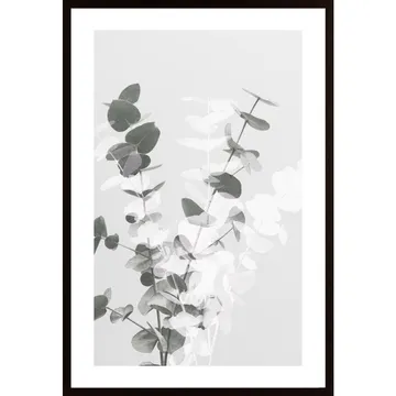 Eucalyptus Creative 08 Poster: En vacker bild som fångar naturen inomhus