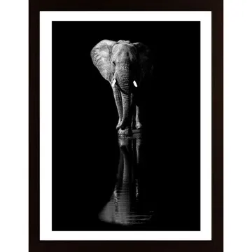 Elephant Poster: En Konstnärlig hyllning till en majestätisk varelse