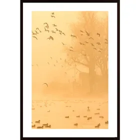 Flock Of Gulls Poster