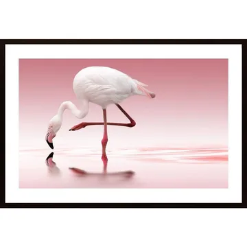 Flamingoposter: En färgstark och i&ouml;gonfallande v&auml;ggdekoration