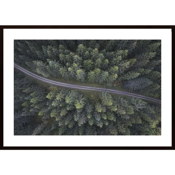 Small Road Through The Forest Poster