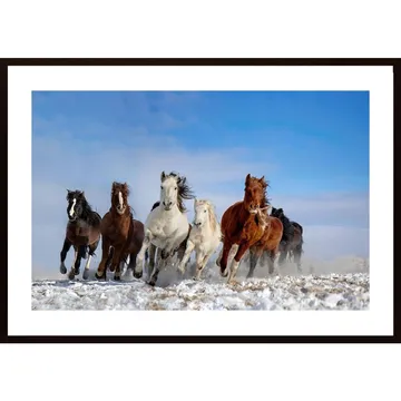 Mongolia Horses Poster: Modern motiv med ett klassiskt uttryck