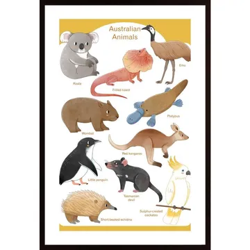 Australian Animals Poster: Fem insamlade illustrationer av Judith Loske