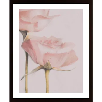 Two Roses Poster: Eleganta blommor i en tidlös tavla