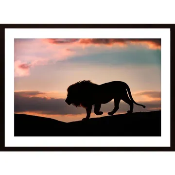 Sunset In The Serengeti Poster: En Spektakulär Naturupplevelse