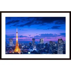 Tokyo Night View Poster