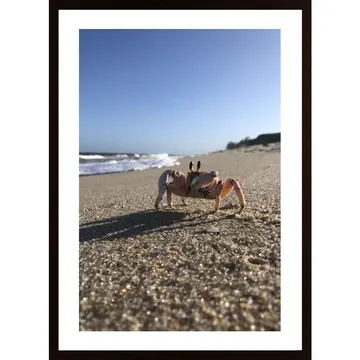 Crab On The Beach Poster - en hyllning till naturens skönhet!