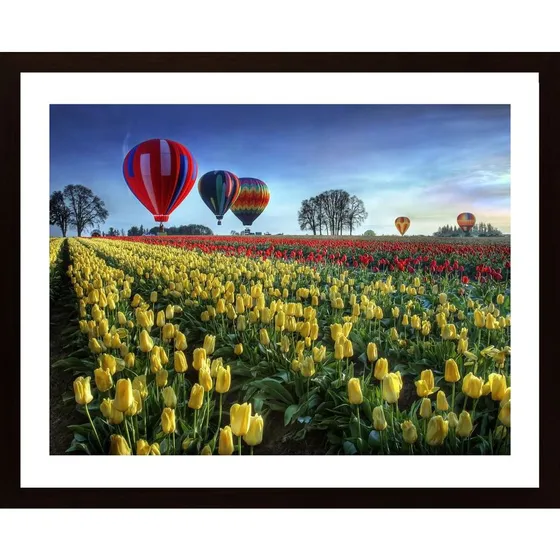 Hot Air Balloons Over Tulip Field Poster
