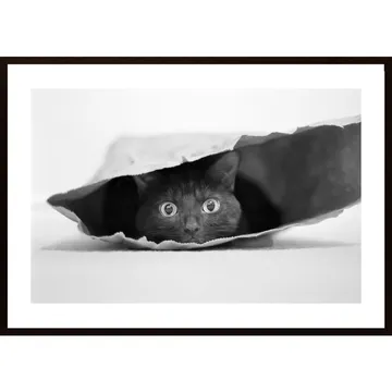 Cat In A Bag-affischen: Ett kattkonstverk i ditt hem