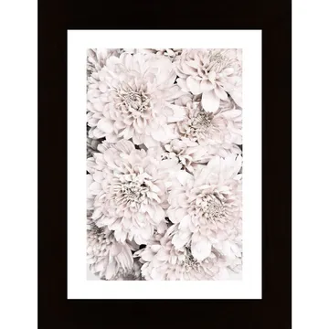 Chrysanthemum No 09 poster: ett blommigt konstverk
