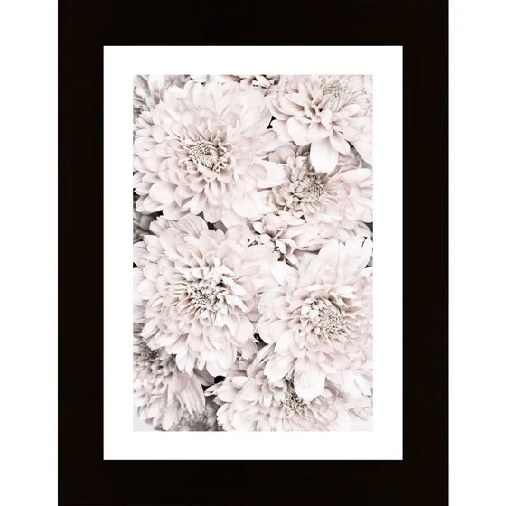 Chrysanthemum No 09 Poster