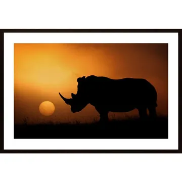Rhino Sunrise Poster: En Naturens Mästerverk