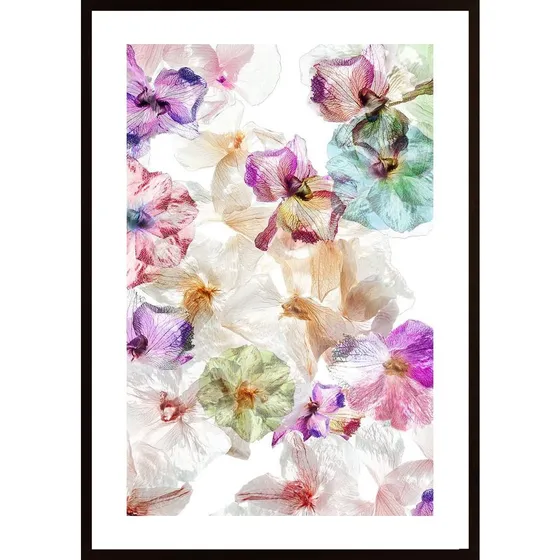 Ghost Orchids Poster