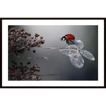 Förvandla Ditt Hem Med Ladybird On Hydrangea Poster: En Målerisk Skildring Från Ellen Van Deelen