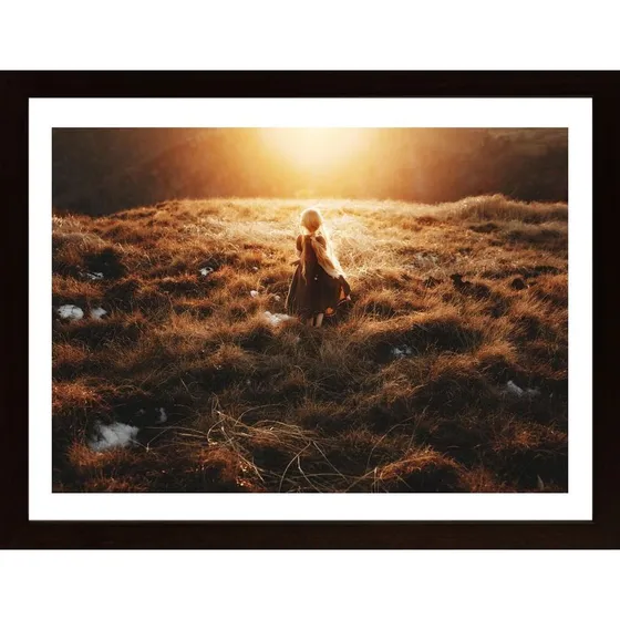 Meadow At Dawn Poster