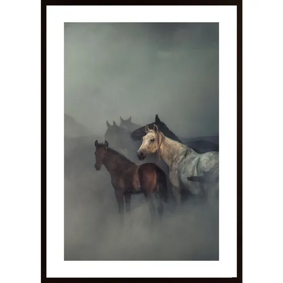 The Lost Horses Poster