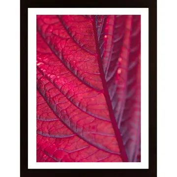 Red Leaf Poster: En abstrakt mästerverk för din inredning
