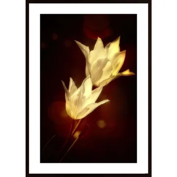Svartvit affisch med tulpaner | Perfekt inredningsdetalj till hemmet