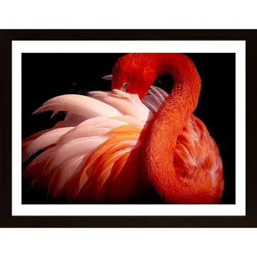 Flamingo Poster: Konstvärk med Livfull Färgprakt