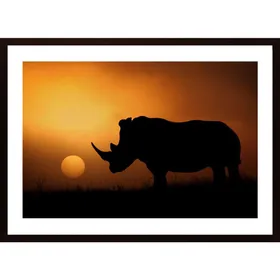 Rhino Sunrise Poster