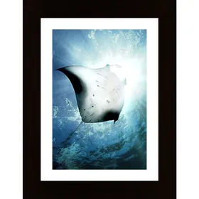 Sun Diver Poster