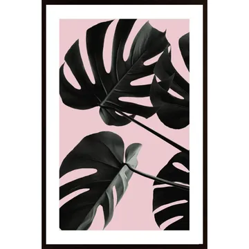 Monstera Pink No 01 Poster: En iögonfångande växttavla för ditt hem