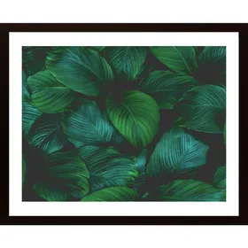 Green Leafs Poster