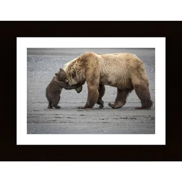 Poster med en varmhjärtad björnpuss