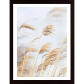 Grass Reed And Sky 2 Poster