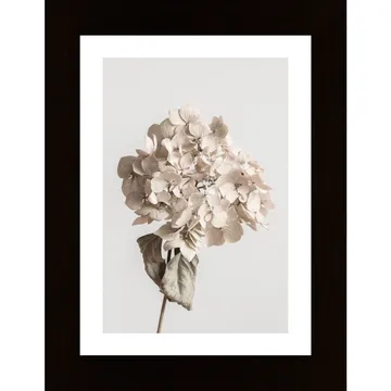 Beige Dried Flower Poster - Ett Naturligt och Stilrent Val